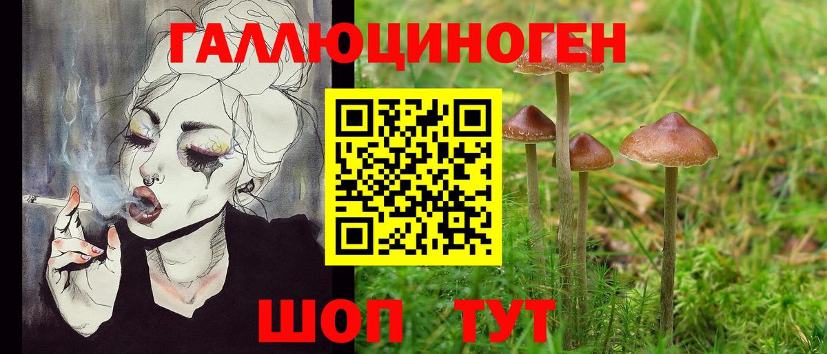 Галлюциногенные грибы ЛСД Городец